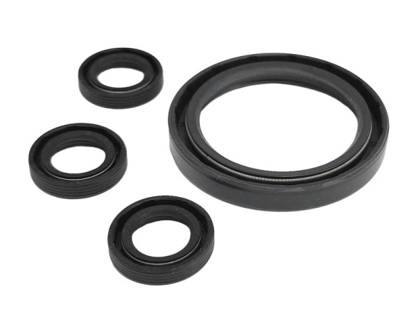 Сальники насоса ВД RRV 3G36 мойки Lifan Q3690 (набор-C) масло, Annovi Reverberi