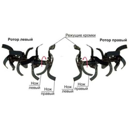 Мотоблок WEIMA WM1100D-6 DIFF(5.00-12)